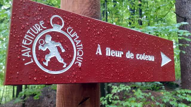 Sentier thématique "A fleur de coteau"