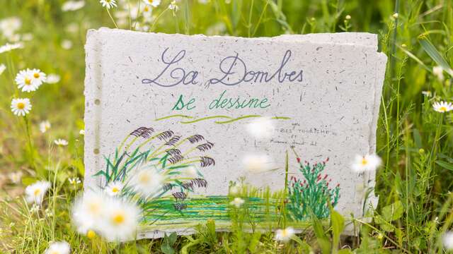 La Dombes se dessine à Prêle