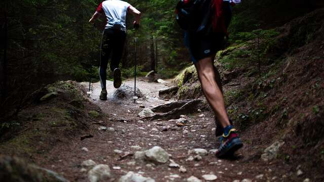 Massif du Forez Trail-running domain