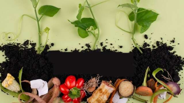 Ateliers récup : recyclage tout en couleurs