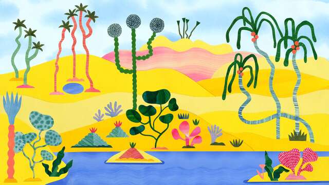 Cinéconte : La Naissance des Oasis