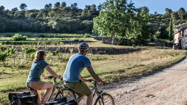 Amour, Vignes & Vélo