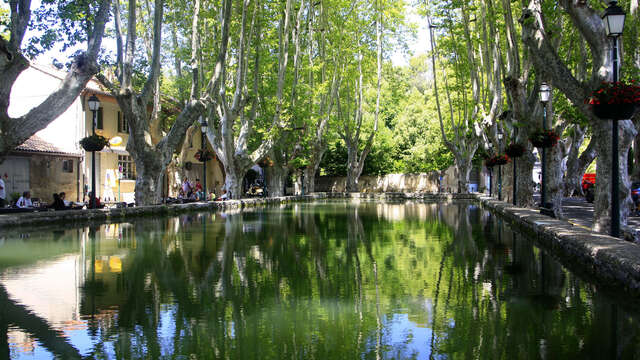 Le Bassin de l'etang