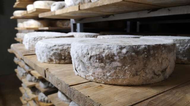 Ferme GAEC Chamonix