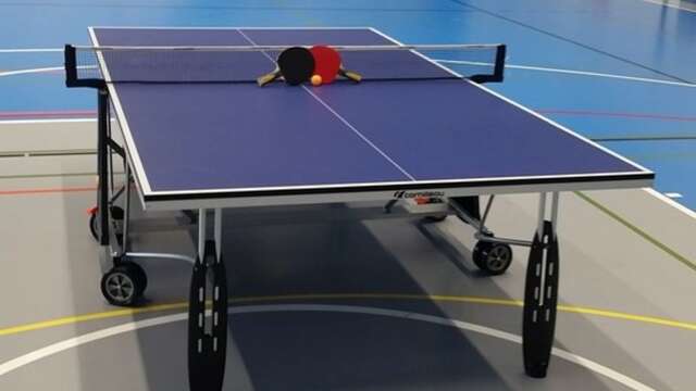 Table tennis