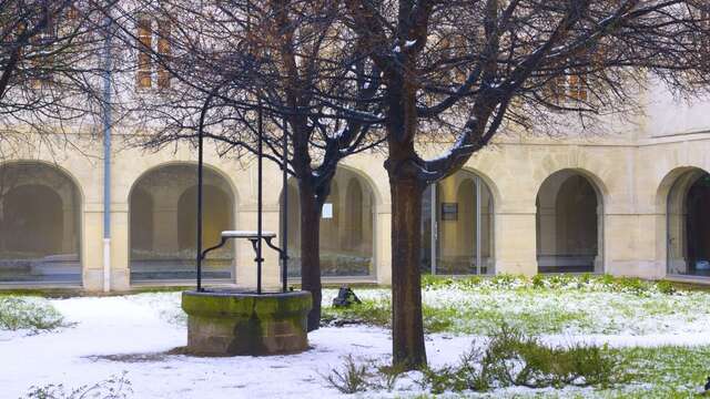 Atelier en famille - Vive le vent d’hiver