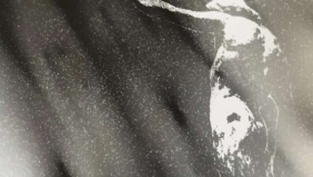 Exposition - Nicolas Daubannes "Aller voir les avions décoller"