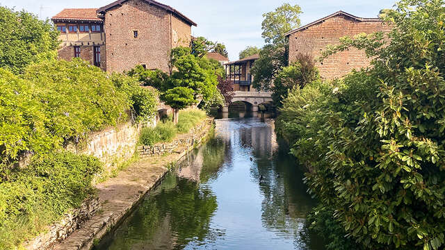 Excursion : Châtillon-sur-Chalaronne, "petite Venise de la Dombes"