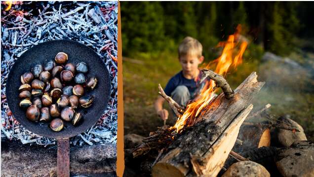 Activité en famille et enfants dès 6 ans : Contes et châtaignes grillées