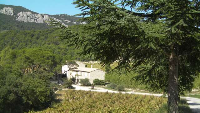 Sentier vigneron au Domaine de Cassan