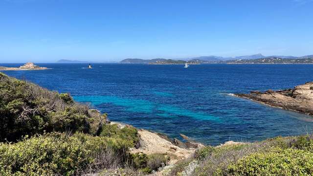 Porquerolles - Circuit du Langoustier