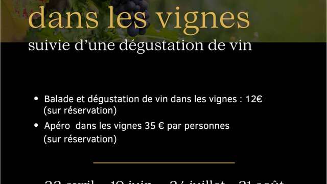 Apéro dans les vignes - Domaine Le Clot de Bénou