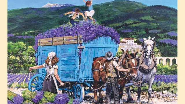 Fête de la Lavande