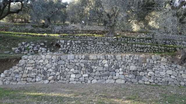 Participatory dry-stone walling project