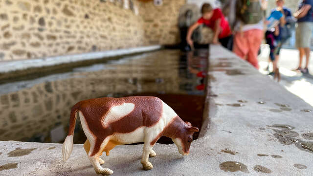 Recherche vaches désespérément - animation famille