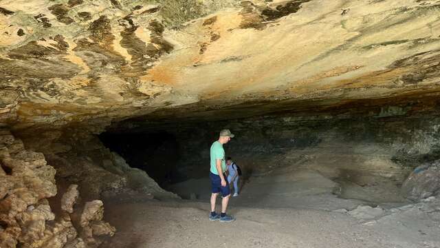 Sur la piste du loup dans le Ravin des Encanaux - Journée