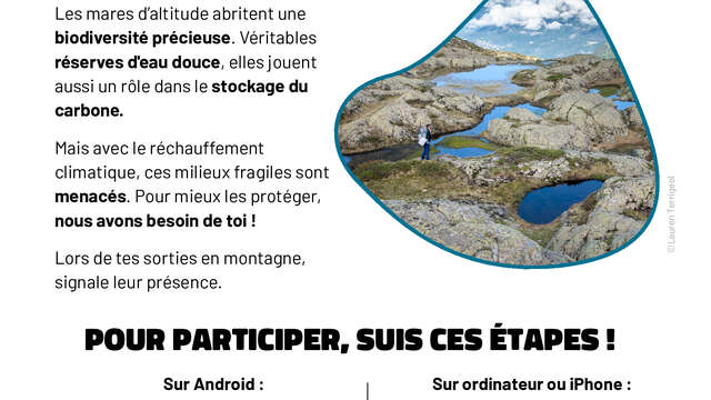 Become guardians of the high-altitude ponds!