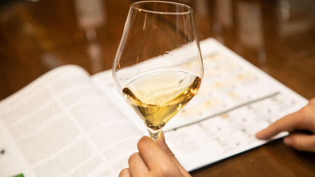 Atelier Découverte "  Vin & Spécialités locales " - M.CHAPOUTIER