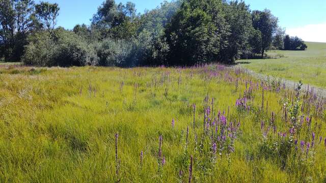 Le plateau des Bornes