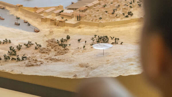 Visite en famille "Les petites bêtes du musée"