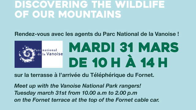 Découverte de la faune