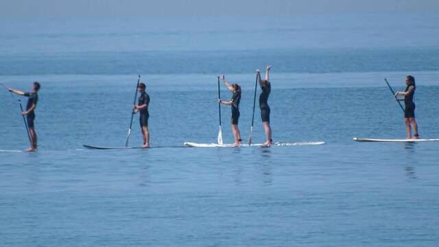 Location de surf, paddle, planche à voile, catamaran et kayak par La Cabane Verte