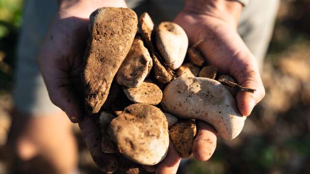 Visite du vignoble et de la cave - Domaine Gramiller