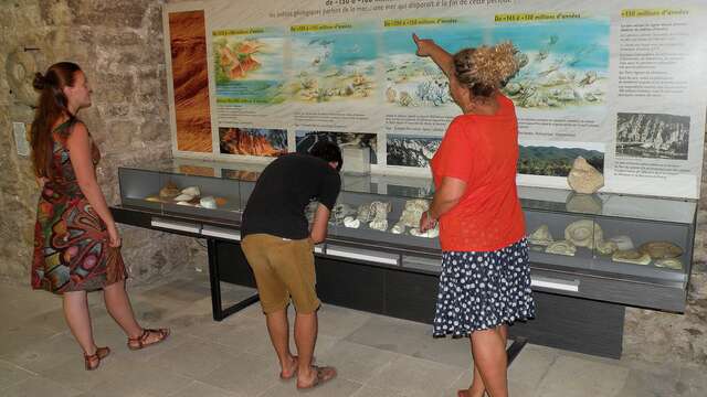 Musée de Géologie de la Maison du Parc