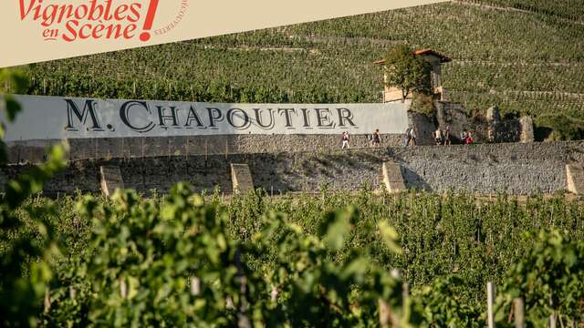 Visite des vignes & dégustation - Maison M. CHAPOUTIER