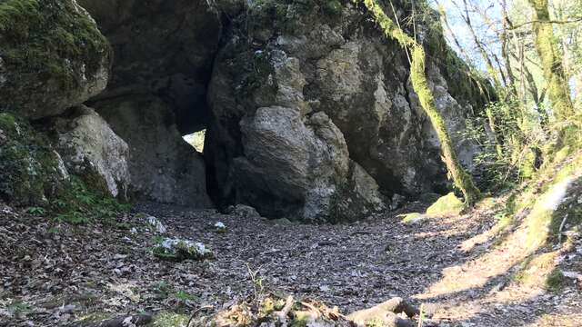 La grotte du loup et le mystère du Disque Céleste