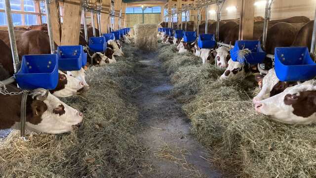 Visite de la ferme de l'Auboury