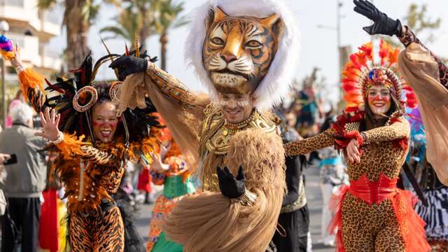 Carnaval & Mimosa