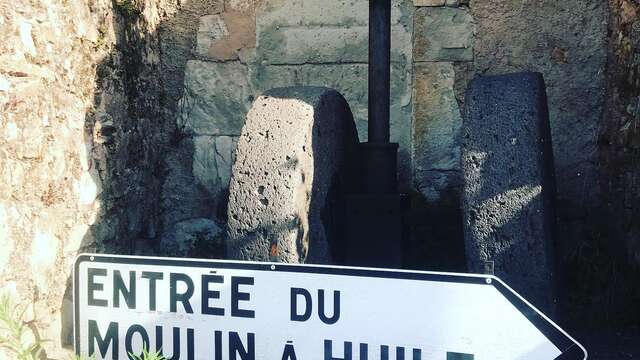 Visite guidée du Moulin oléicole des cinq ponts