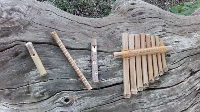 Lutherie verte, confection d'instruments de musique