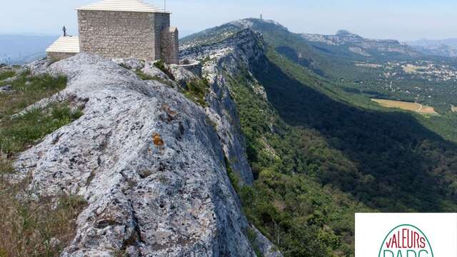 Immersion dans le Parc naturel régional de la Sainte-Baume