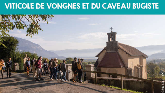 Gourmet tour: discover the wine village of Vongnes