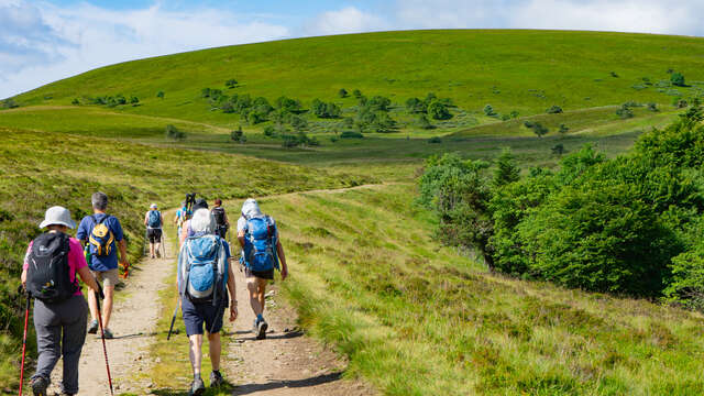 Entre les jasseries de la Loire et du Puy de Dôme - Randonnée commentée