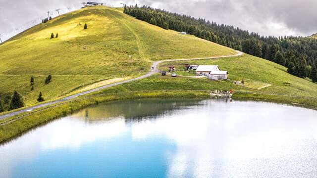Le Lac de Joux depuis le Mont d'Arbois