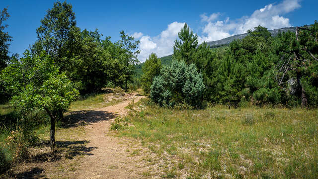 La Boucle de Roquevignon à Grasse