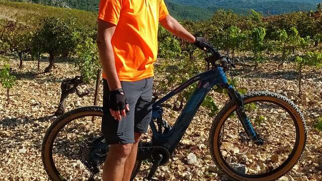 Gigondas, Sablet and Séguret, authentic villages at the foot of the Dentelles de Montmirail: Guided bike ride