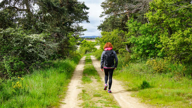 Chemin de la Garenne