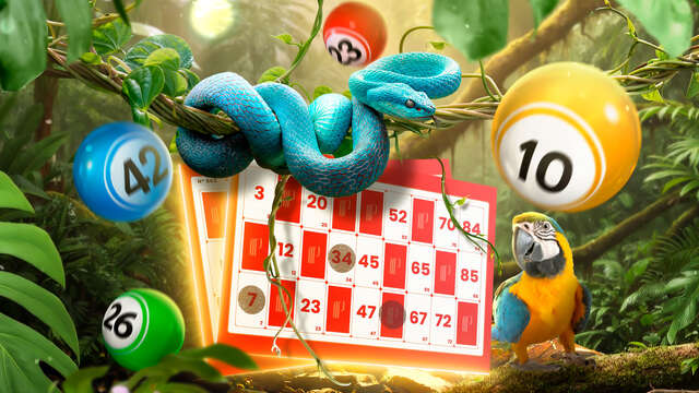 Bingo jungle