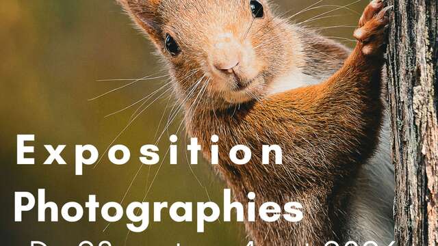 Exposition Faune et Paysages de Serge Gazzano