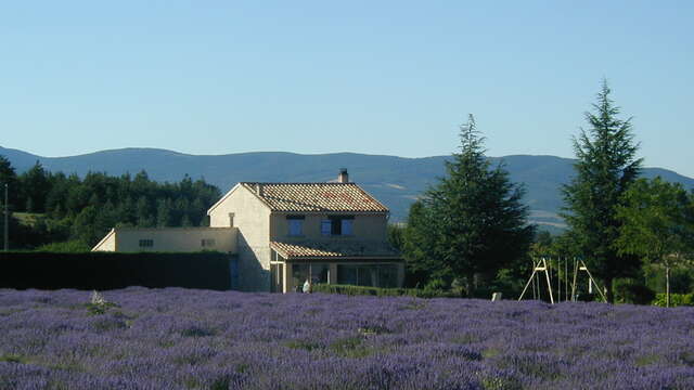 Gîtes Les Maillores