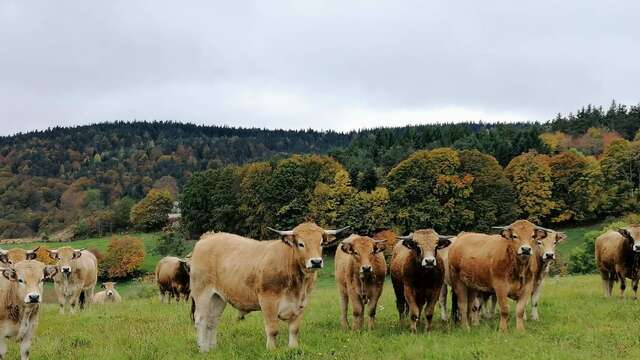 Ferme des Hautes Terres