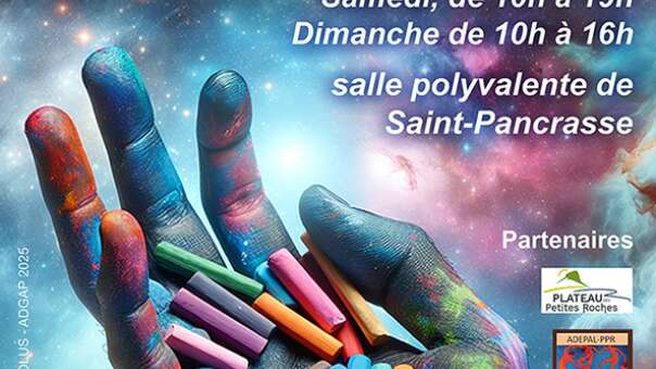 Exposition de créateurs d'art du Plateau des Petites Roches