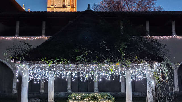 Lumières enchantées