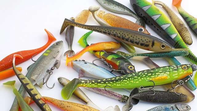 Semaine gourmande : Pêche aux leurres en lac