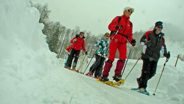 Sortie raquettes "Montagne sous la neige"