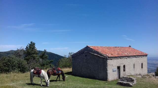 Les Sabots de la Vigne - Balades, randonnées et voyages équestres